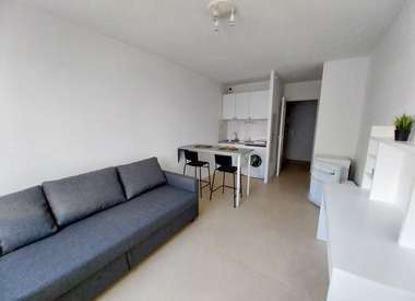 Appartement 1 Pièce 22 m²