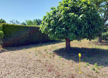 Terrain 688 m²