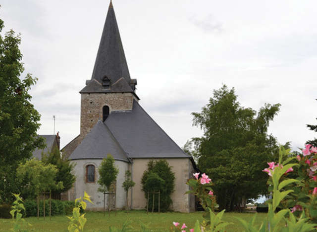 Semoy